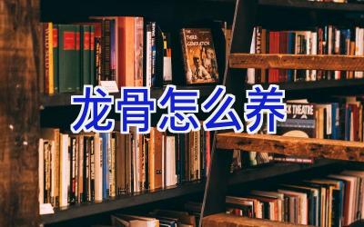 龙骨怎么养插图 龙骨怎么养插图