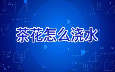 茶花怎么浇水插图 茶花怎么浇水插图