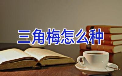 三角梅怎么种插图