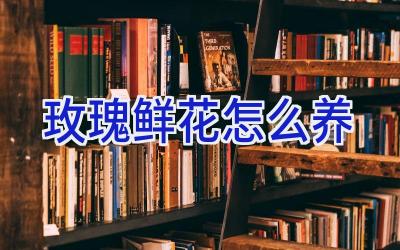 玫瑰鲜花怎么养插图 玫瑰鲜花怎么养插图