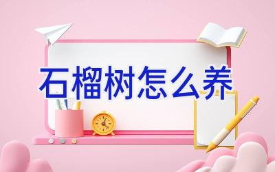 石榴树怎么养插图