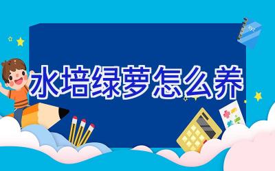 水培绿萝怎么养插图 水培绿萝怎么养插图