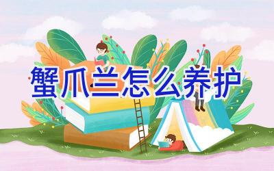 蟹爪兰怎么养护插图 蟹爪兰怎么养护插图