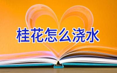 桂花怎么浇水插图 桂花怎么浇水插图