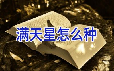 满天星怎么种插图 满天星怎么种插图