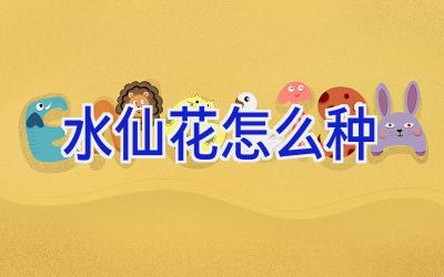 水仙花怎么种插图