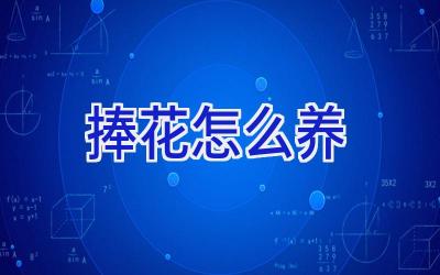 捧花怎么养插图 捧花怎么养插图