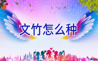 文竹怎么种插图 文竹怎么种插图