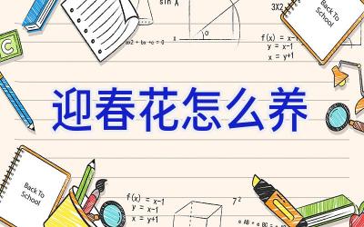 迎春花怎么养插图