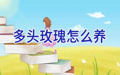 多头玫瑰怎么养插图 多头玫瑰怎么养插图