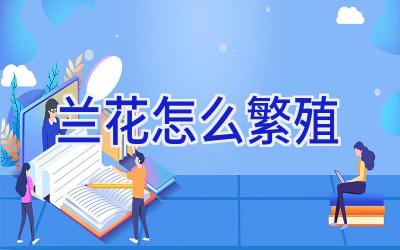 兰花怎么繁殖插图