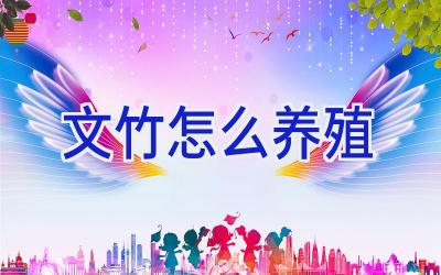 文竹怎么养殖插图 文竹怎么养殖插图