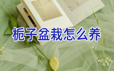 栀子盆栽怎么养插图 栀子盆栽怎么养插图