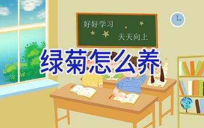 绿菊怎么养插图 绿菊怎么养插图