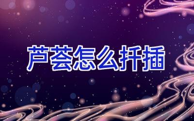 芦荟怎么扦插插图