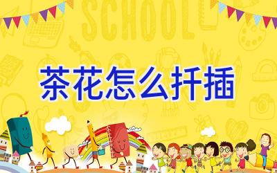 茶花怎么扦插插图