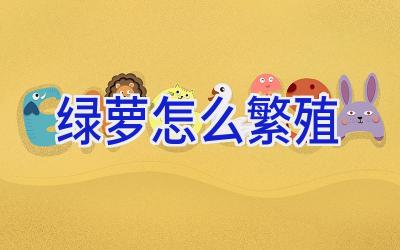 绿萝怎么繁殖插图 绿萝怎么繁殖插图