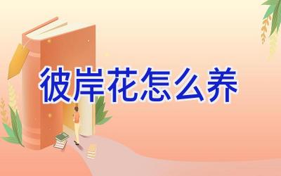 彼岸花怎么养插图 彼岸花怎么养插图