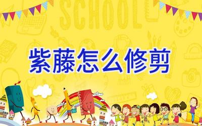 紫藤怎么修剪插图 紫藤怎么修剪插图