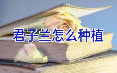 君子兰怎么种植插图 君子兰怎么种植插图