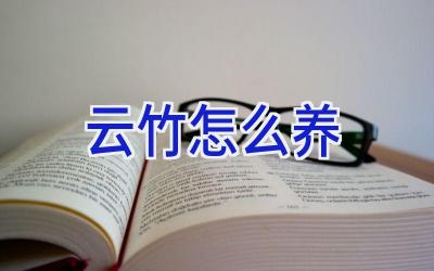 云竹怎么养插图 云竹怎么养插图