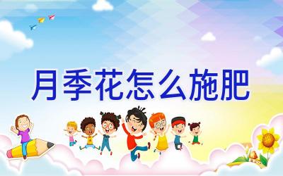 月季花怎么施肥插图 月季花怎么施肥插图