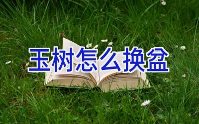 玉树怎么换盆插图 玉树怎么换盆插图