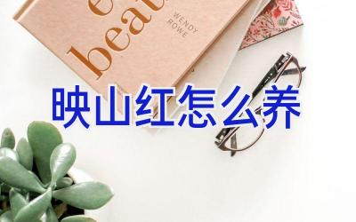 映山红怎么养插图 映山红怎么养插图