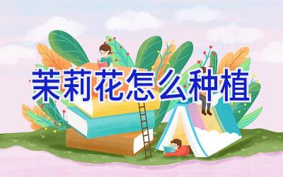 茉莉花怎么种植插图 茉莉花怎么种植插图