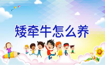 矮牵牛怎么养插图 矮牵牛怎么养插图