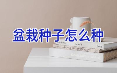 盆栽种子怎么种插图