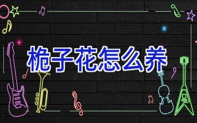 桅子花怎么养插图 桅子花怎么养插图