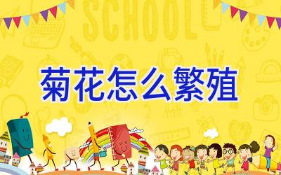 菊花怎么繁殖插图 菊花怎么繁殖插图