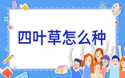 四叶草怎么种插图