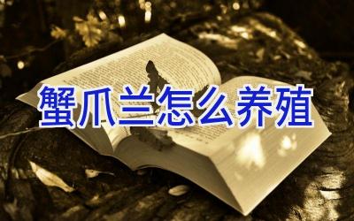 蟹爪兰怎么养殖插图 蟹爪兰怎么养殖插图