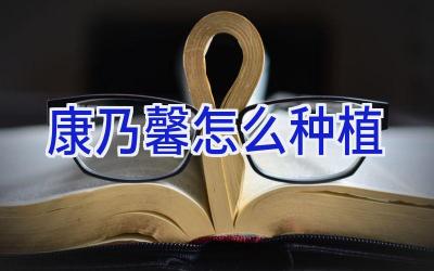 康乃馨怎么种植插图 康乃馨怎么种植插图