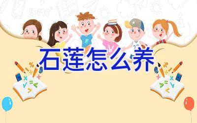 石莲怎么养插图
