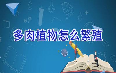 多肉植物怎么繁殖插图 多肉植物怎么繁殖插图