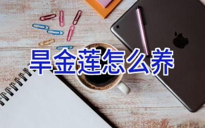 旱金莲怎么养插图