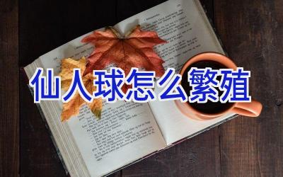 仙人球怎么繁殖插图 仙人球怎么繁殖插图