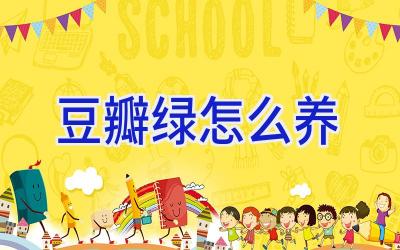 豆瓣绿怎么养插图