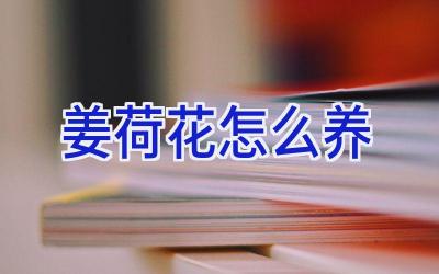 姜荷花怎么养插图