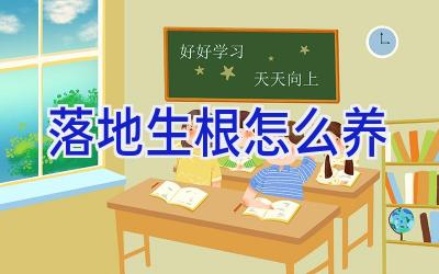 落地生根怎么养插图 落地生根怎么养插图