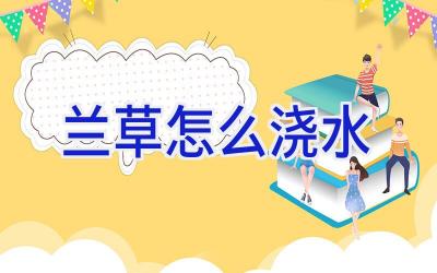 兰草怎么浇水插图 兰草怎么浇水插图