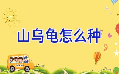 山乌龟怎么种插图 山乌龟怎么种插图