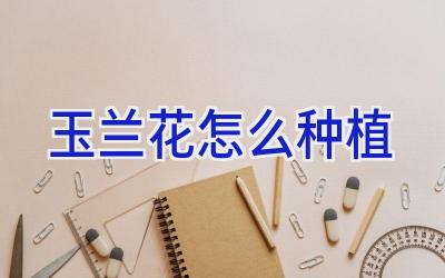 玉兰花怎么种植插图 玉兰花怎么种植插图