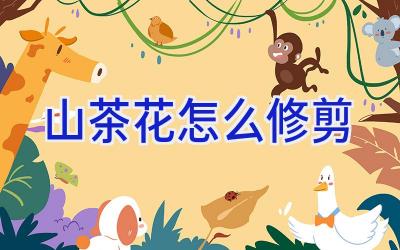 山茶花怎么修剪插图