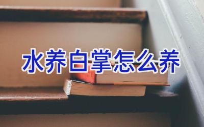 水养白掌怎么养插图 水养白掌怎么养插图