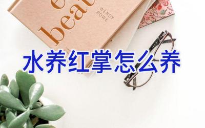 水养红掌怎么养插图 水养红掌怎么养插图