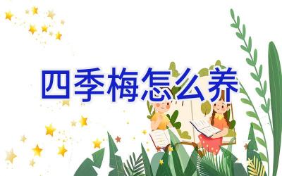 四季梅怎么养插图
